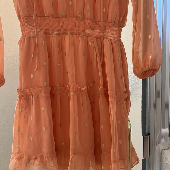 Peach chiffon w/ gold polka dots ruffled dress - Picture 4 of 4